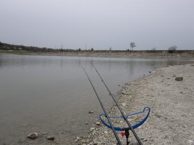 Прикрепленное изображение: IMG_0651.JPG